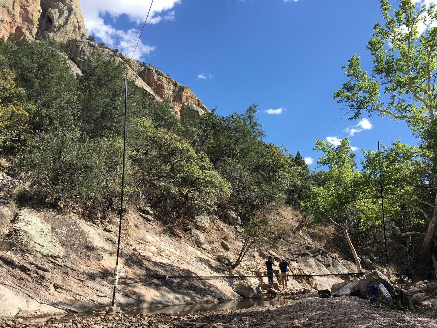 Combined Field Survey Techniques: AZ (Portal) - 2025