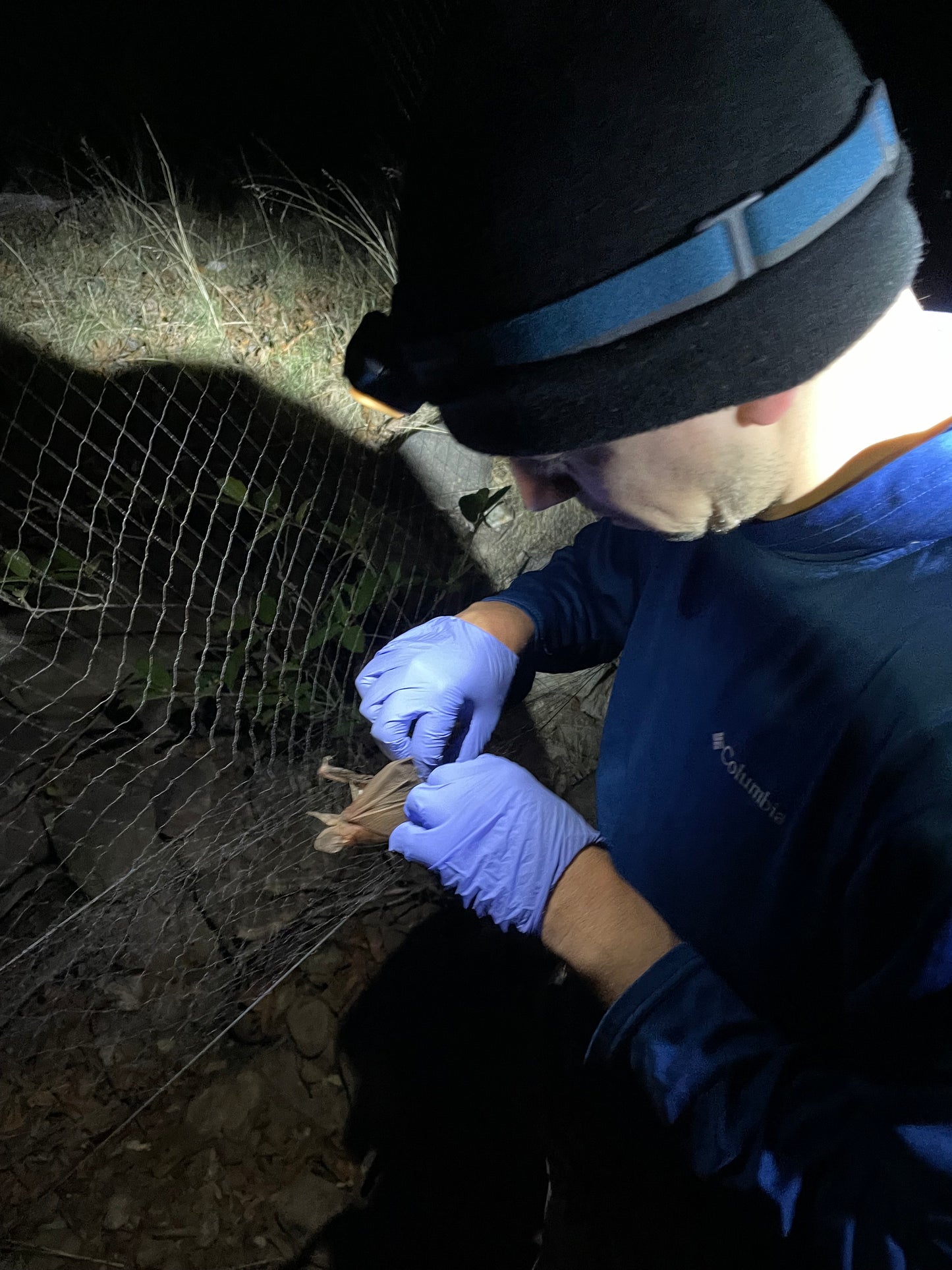 Combined Field Survey Techniques: AZ (Portal) - 2025