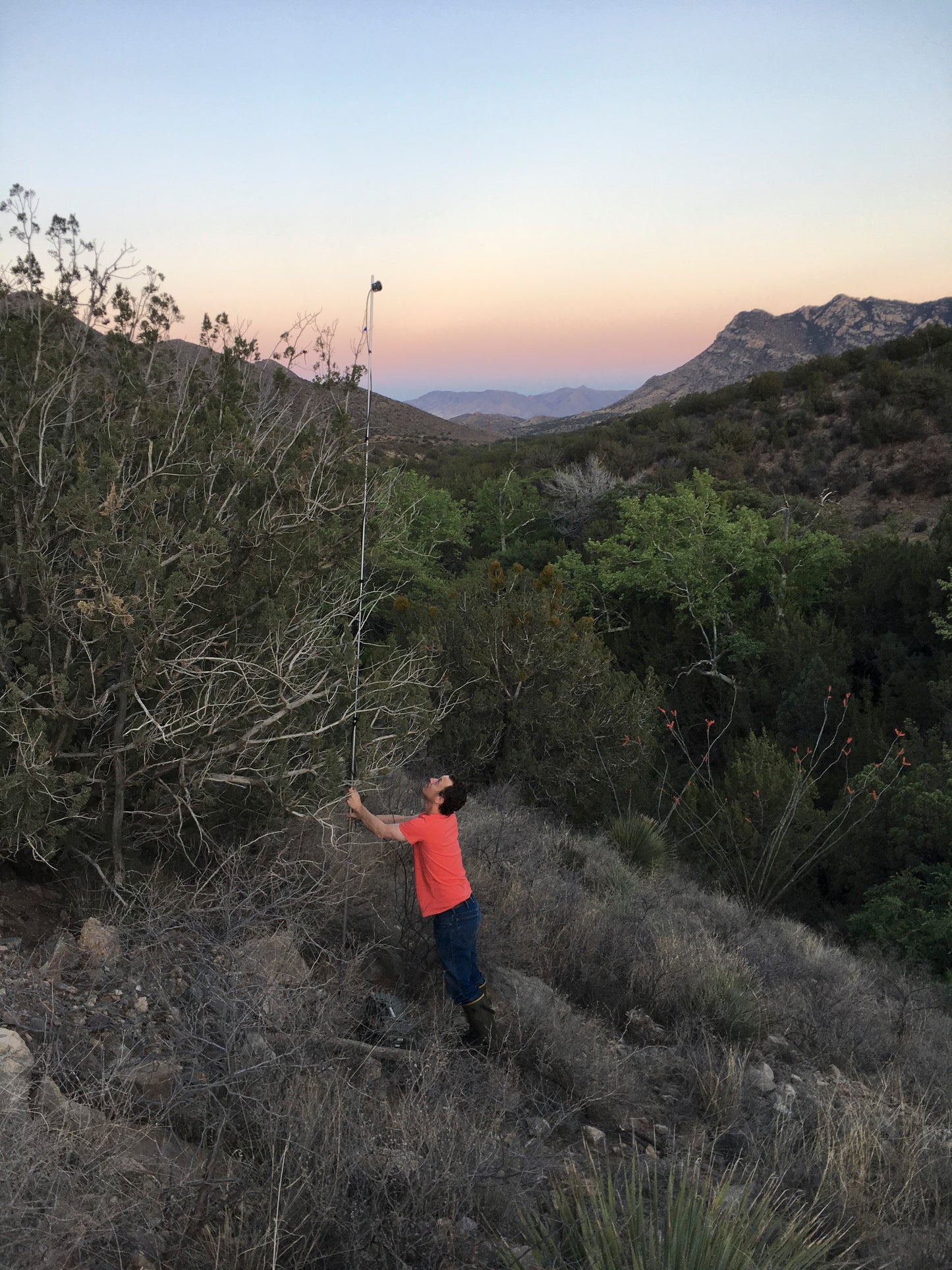 Combined Field Survey Techniques: AZ (Portal) - 2025