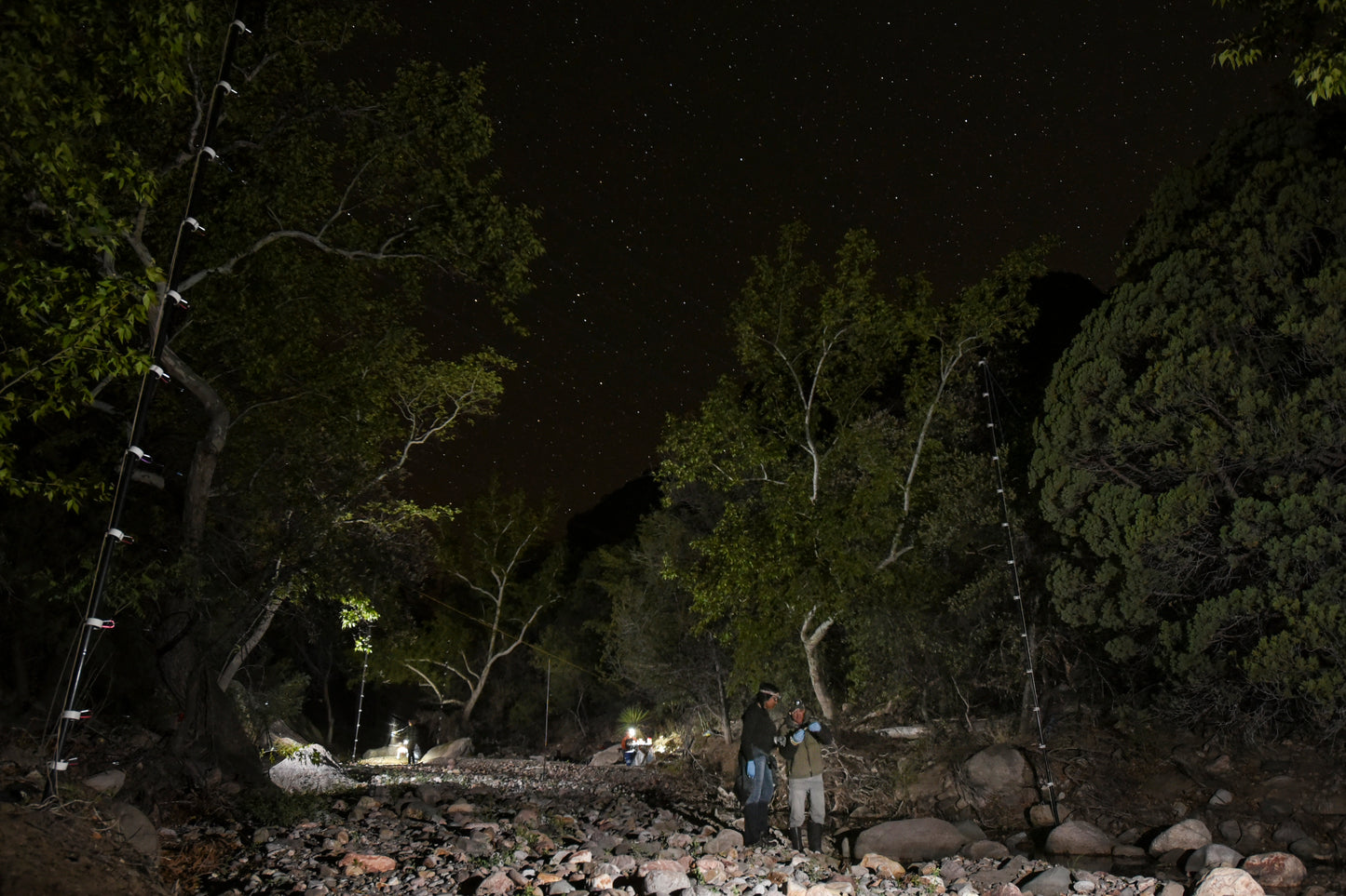 Field Survey Training - Arizona: 6-13 June 2023
