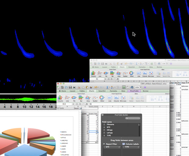 Acoustic Survey Qualification