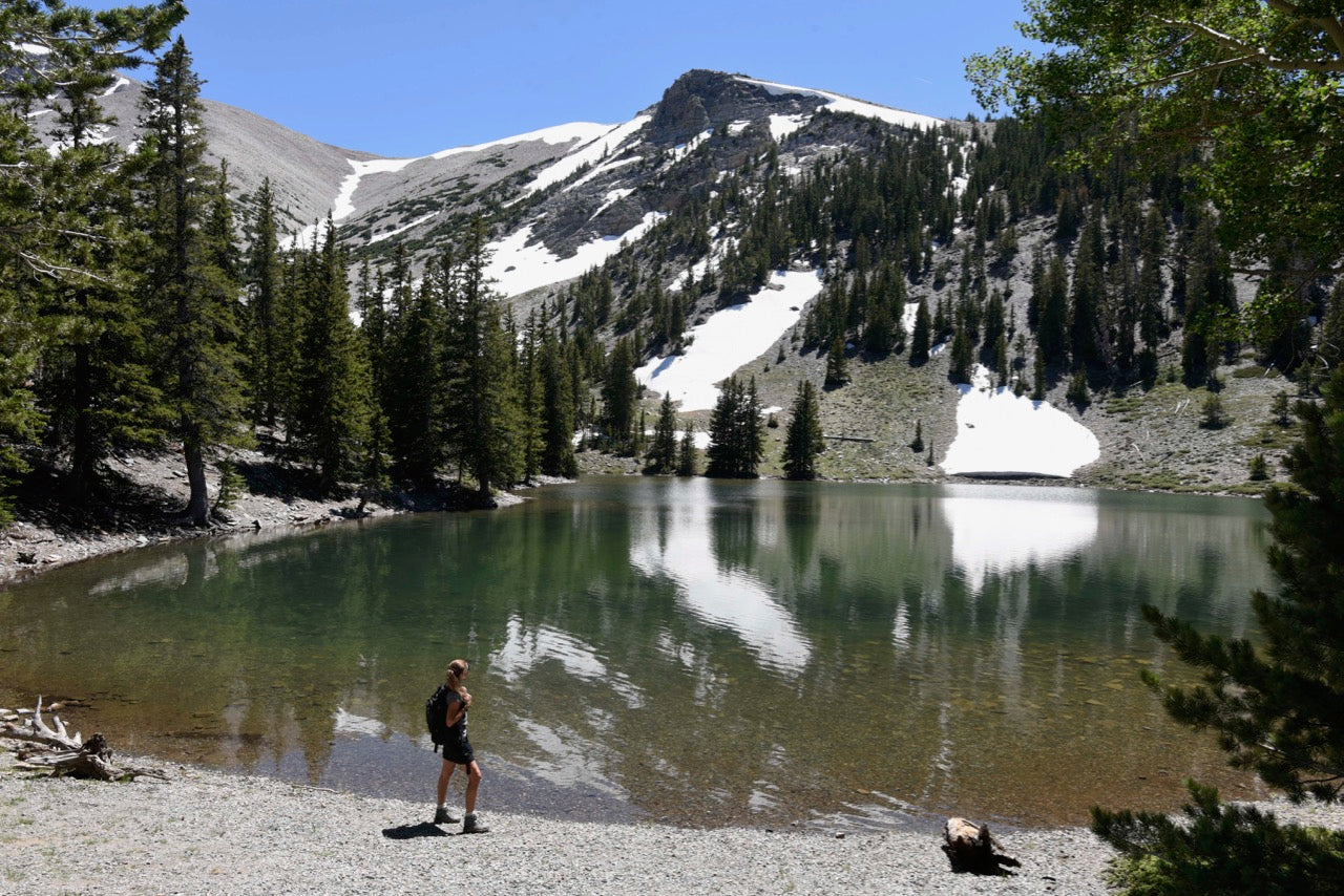 Combined Field Survey Techniques: NV (Great Basin) - 2025