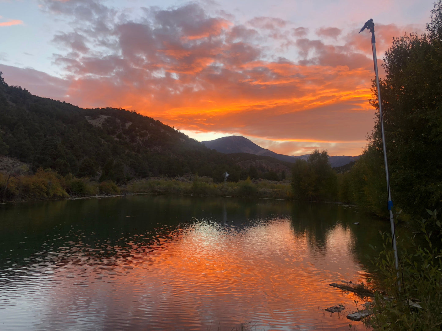 Acoustic Survey Course: NV (Great Basin) - 2025