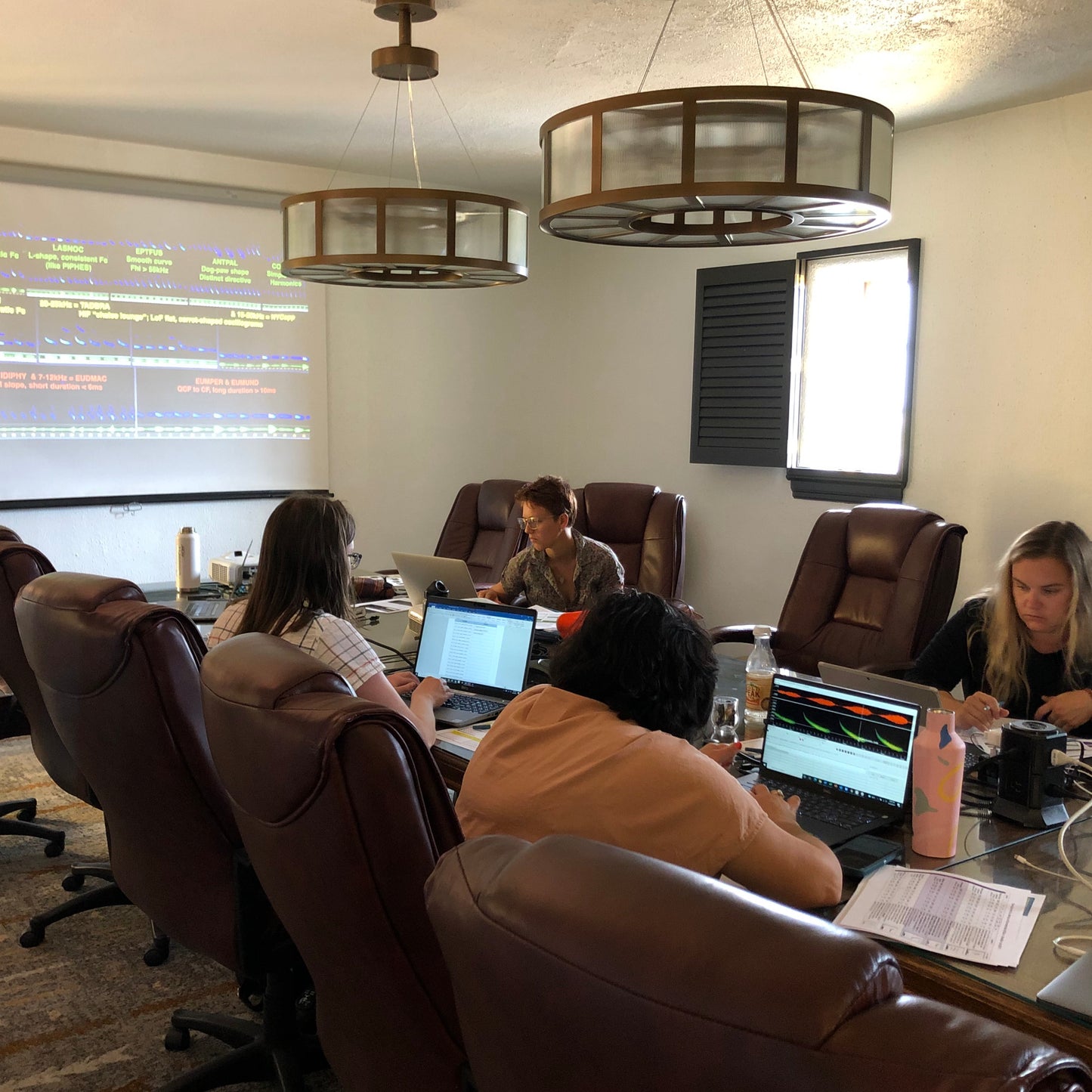 Acoustic Survey Course: AZ (Tucson) - 2025
