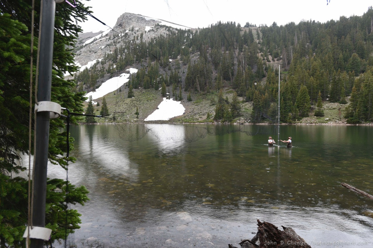 Combined Field Survey Techniques: NV (Great Basin) - 2025