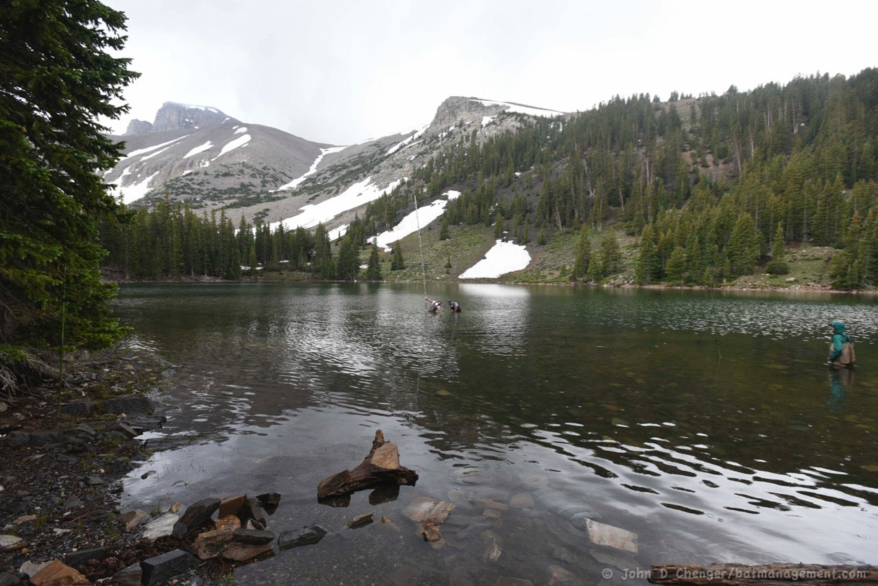 Combined Field Survey Techniques: NV (Great Basin) - 2025