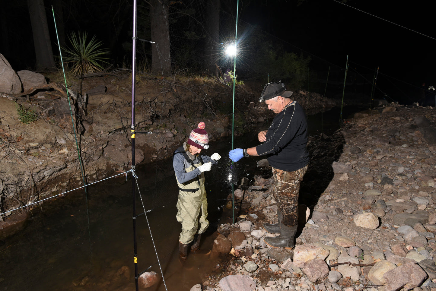 Combined Field Survey Techniques: AZ (Portal) - 2025