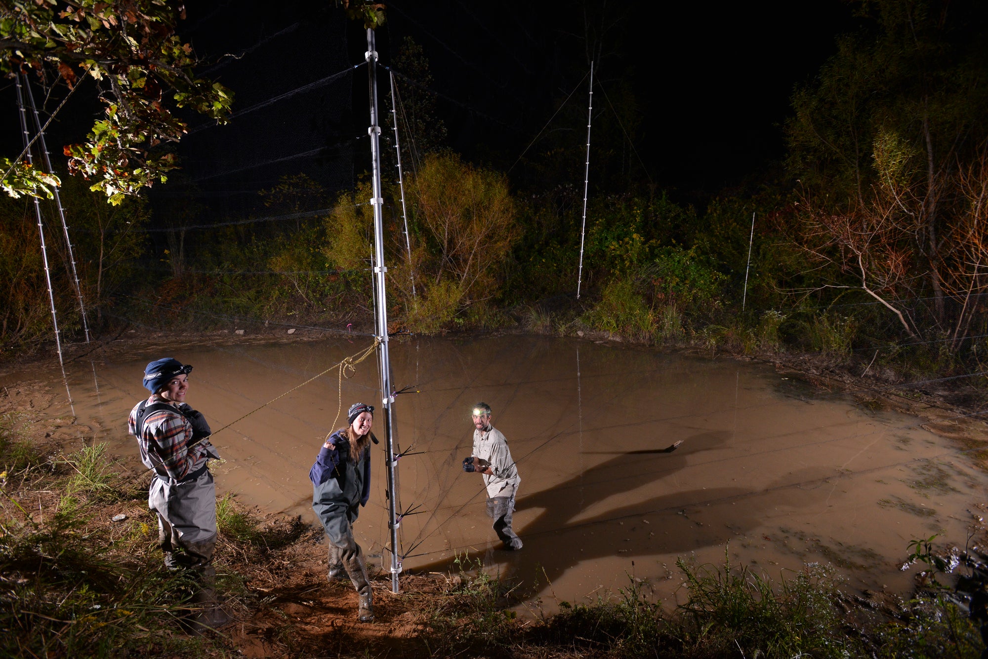 Bat Survey Solutions