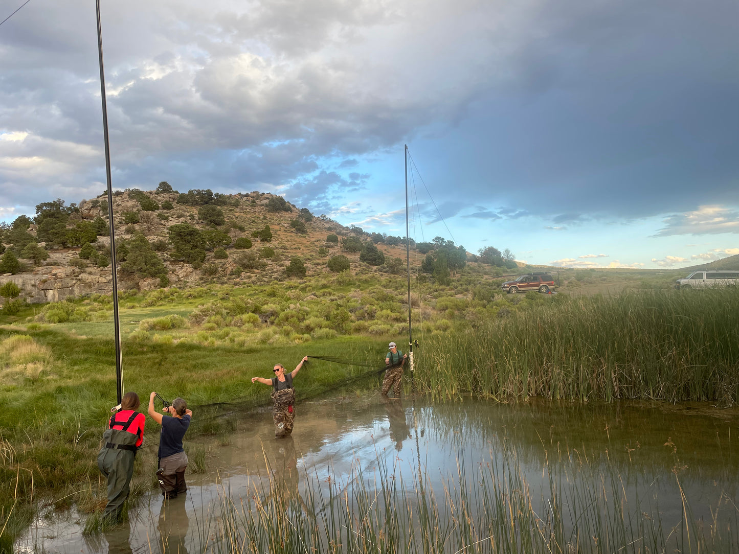 Combined Field Survey Techniques: NV (Great Basin) - 2025