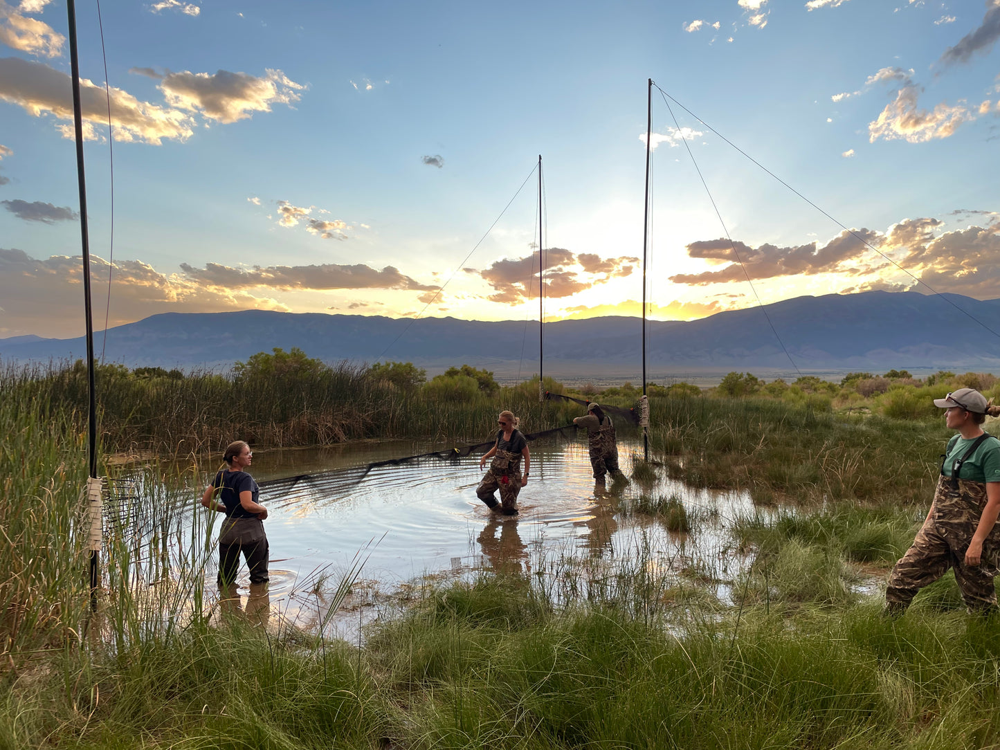 Combined Field Survey Techniques: NV (Great Basin) - 2025