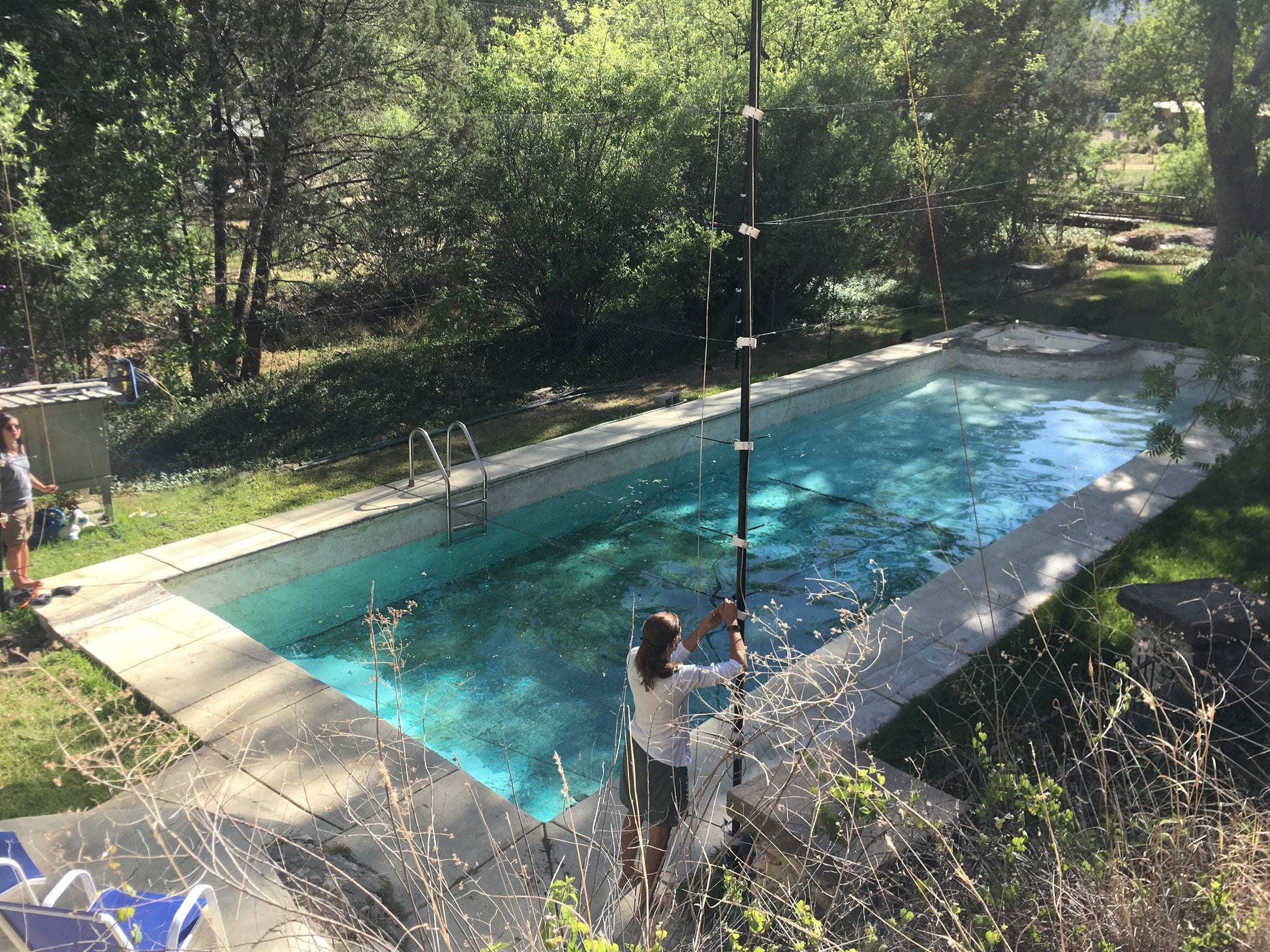 The spring-fed swimming pool at the Southwestern Research Station in Portal AZ has more historical bat capture records than any other location in AZ (and possibly the Nation).